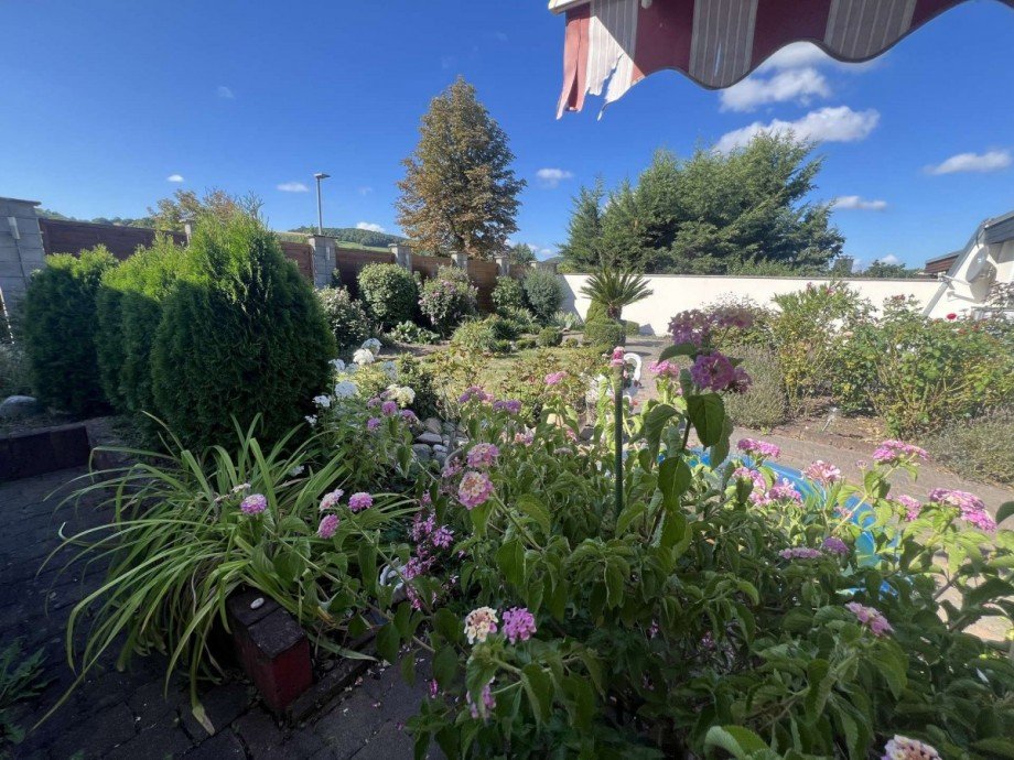 Blick in Garten Bungalow Bad Sobernheim