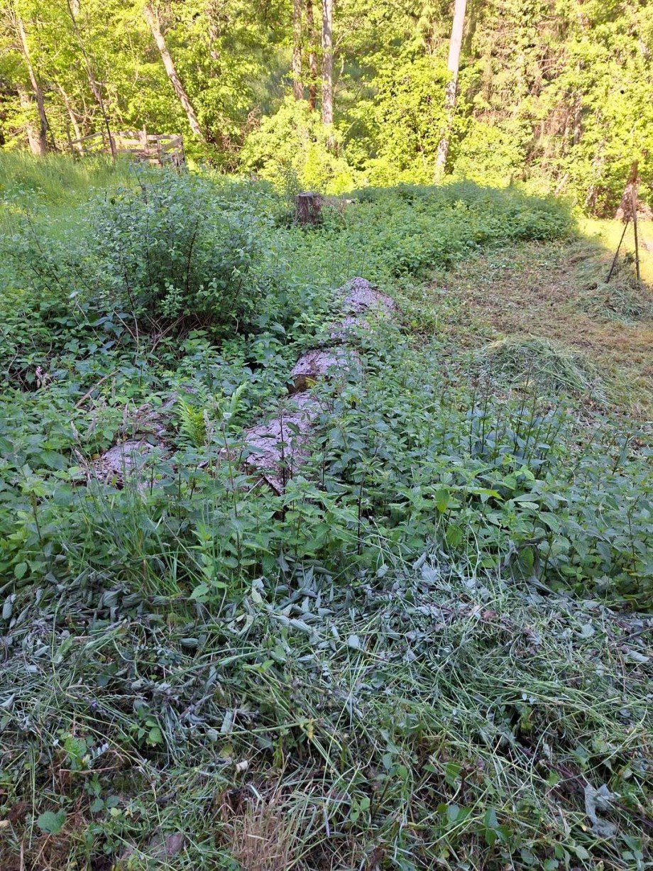 Wiesengrundst�cke Grundst�ck Schmittweiler