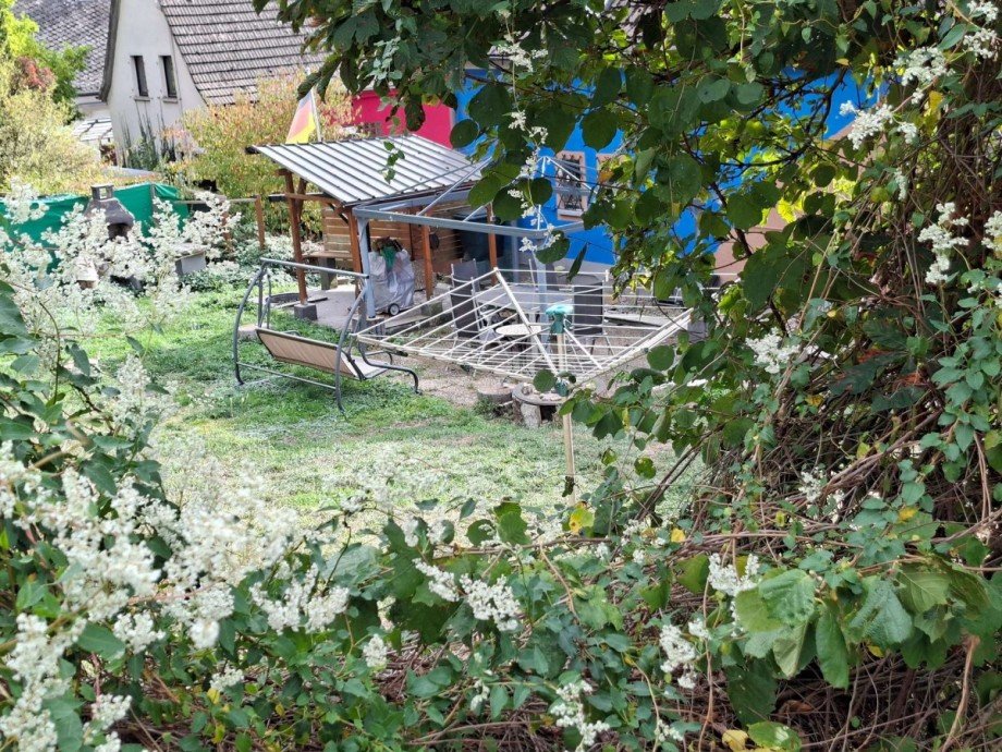 Gartenansicht Einfamilienhaus Schmidthachenbach