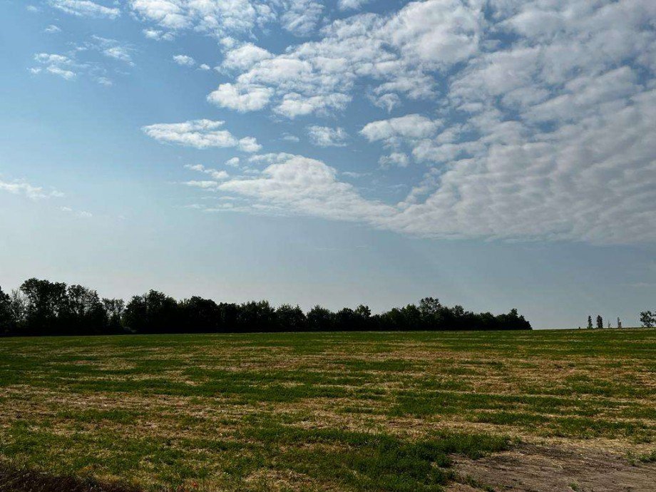 Blick von OG Doppelhaush�lfte Mainz