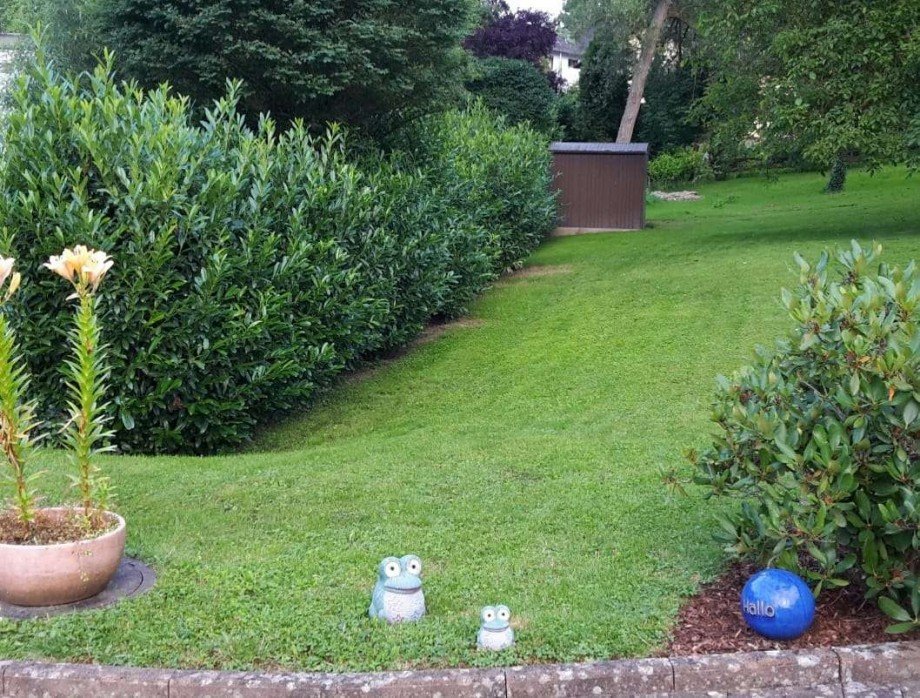 Gartenansicht Einfamilienhaus Obermoschel