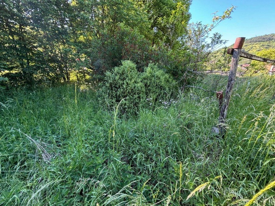 Separates Gartengrundst�ck Zweifamilienhaus Callbach