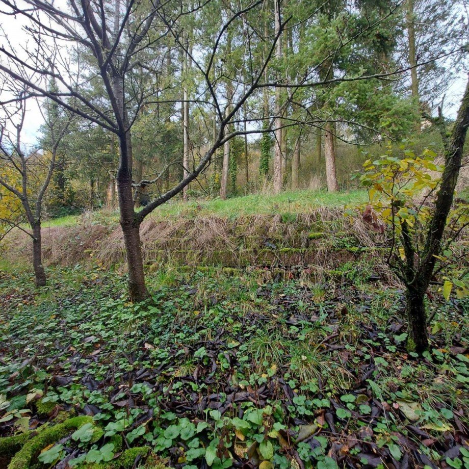 Gartengrundst�ck Haus Waldb�ckelheim