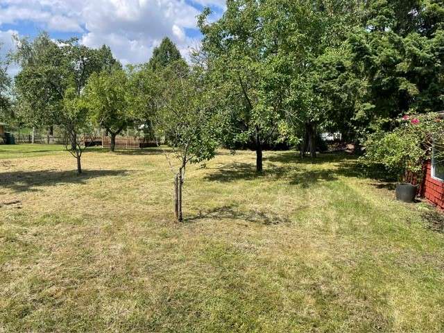 Blick Garten Einfamilienhaus Bad Sobernheim