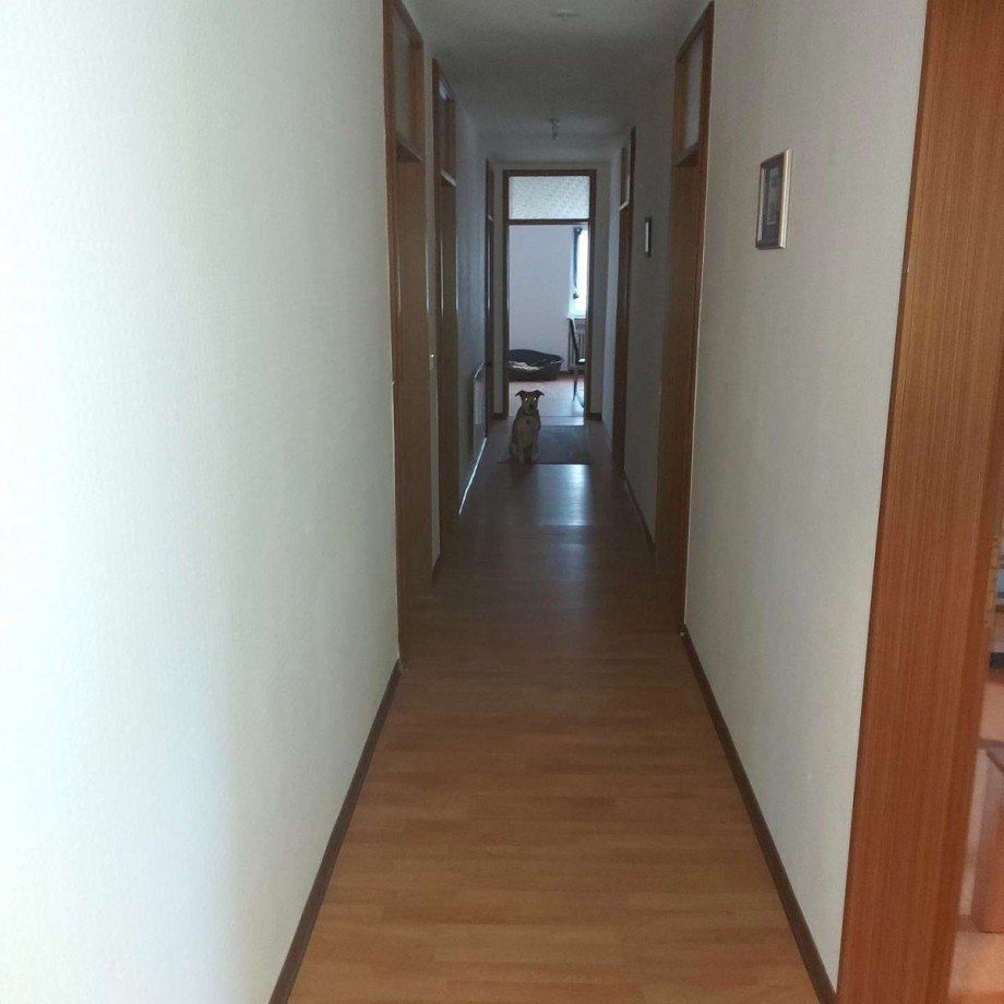 Flur OG Zweifamilienhaus Hallgarten