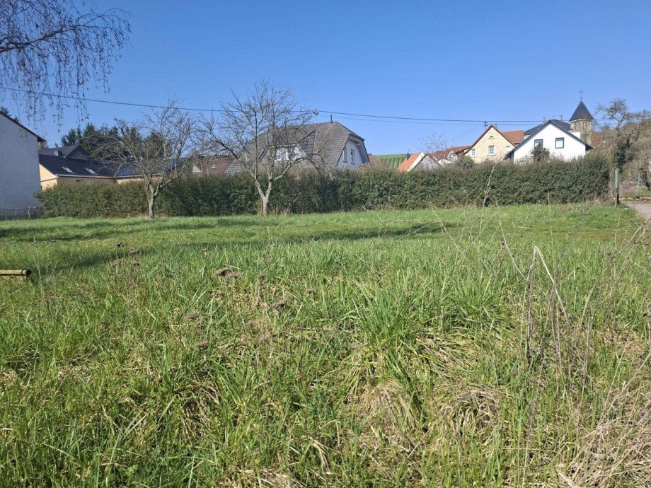 Baugrundst�ck Grundst�ck Waldb�ckelheim