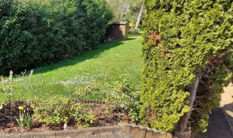 Gartenansicht Renditeobjekt Obermoschel